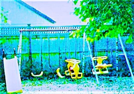 111_ym_alligatorterritory_kjhannah.jpg