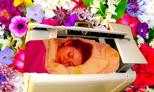 111_ym_refrigeratordoor_bernice.jpg