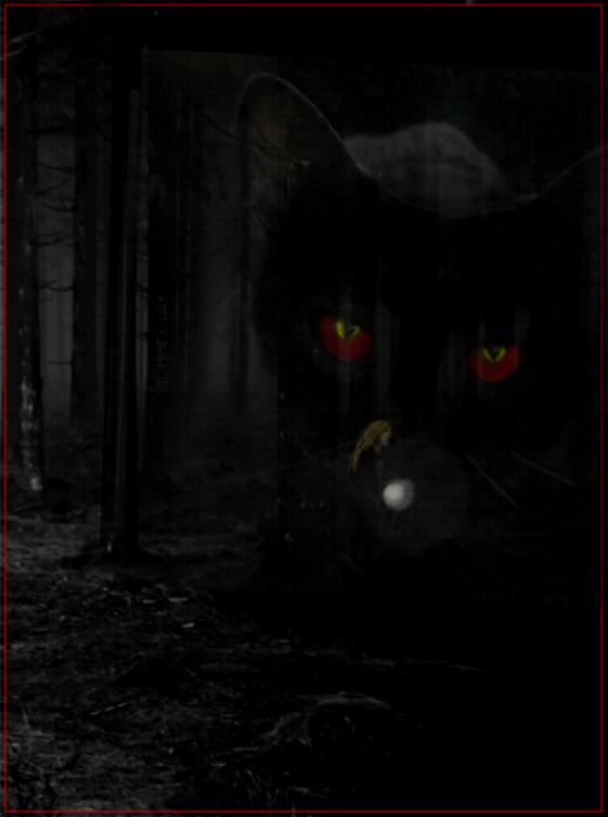 112_bp_catofmalivaunt_jelliott.jpg